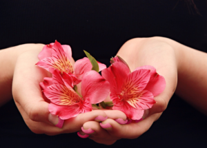 Flower Petals Religious Stock Photo